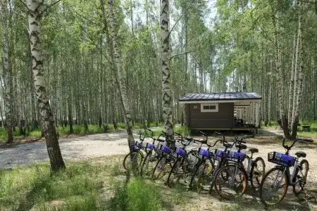 Norke Есенинская Русь - 39