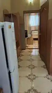 Сосна и Пальмы - 27