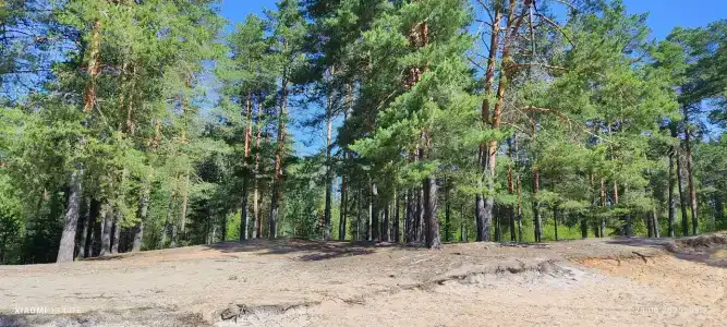 Турбаза завода им. Фрунзе - 8