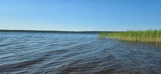 Лотос - 34
