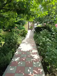 Зеленый дворик - 2