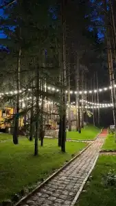 Магия леса - 6