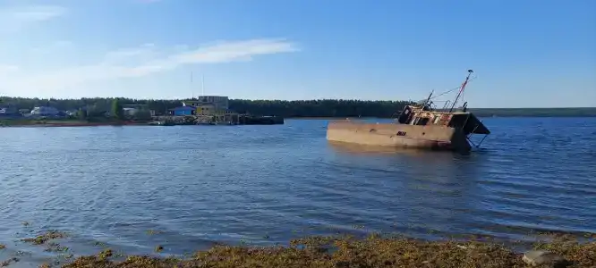 Нереис - 7