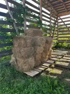 Лаки Лейк - 30