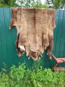 Большая Река - 11