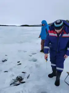 Compass Sosnovaya - 39