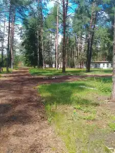 Лесная cказка - 5