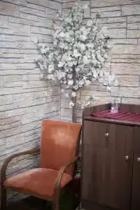 Золотой Ручей - 17