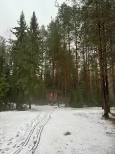 Багатто - 32