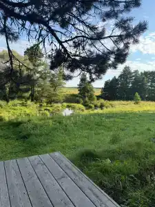 Wish Home Лесной Берег в Мясоедово - 24