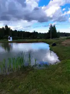 Кулаково - 53