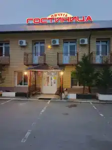 Пичуга - 0