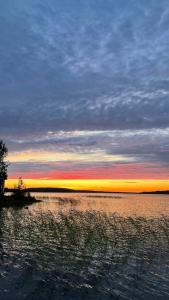 Onegowelcome.ru - 44