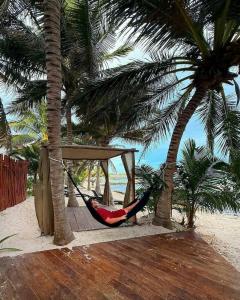 PavoReal Beach - 36