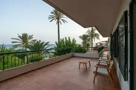 Paradisun - Adults Only Recommended - 29