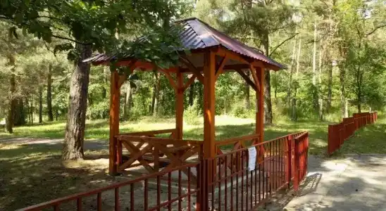 Купалинка - 40