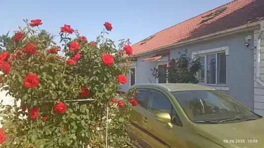 Райский уголок - 4