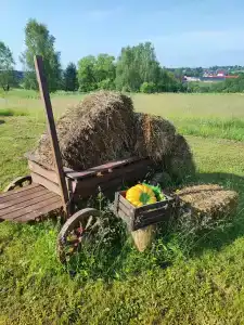 Усадьба Папино - 17