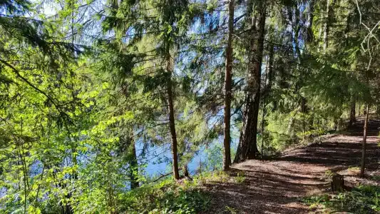 Львовские озера - 32