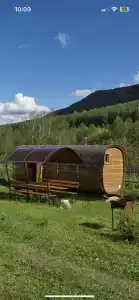 Сентелек - 1