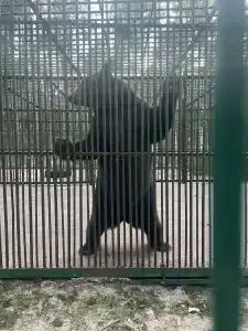 Каменюки - 27