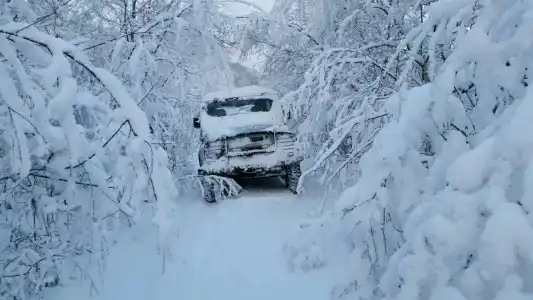 Торопаца Эко - 20