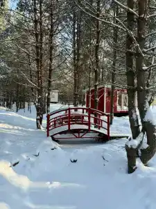 Липландия - 14