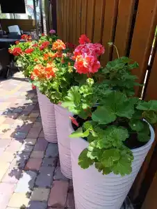 Матрешка - 17