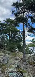 Рузя Карелия - 52