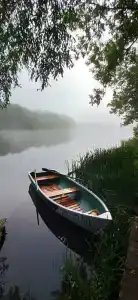 Сибарит - 2