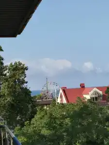 Орхидея - 5