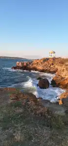 Регата - 91