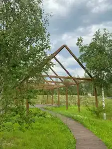 В Поле - 30