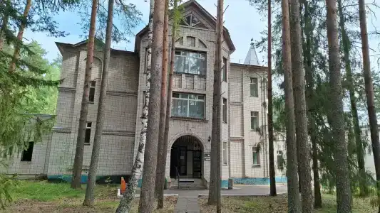 Колос - 44