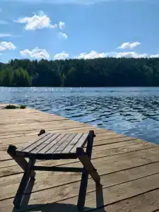 Шелест - 49