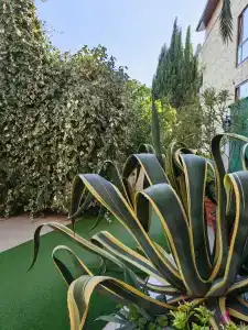 Парус - 2