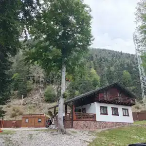 Орлиное Поместье - 46