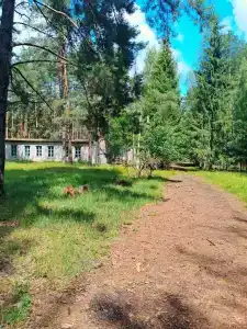 Лесная cказка - 3