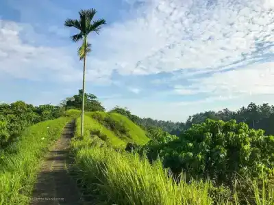 Pita Maha Resort & Spa - 9