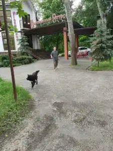Соловьиный Остров - 3