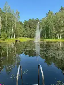 Лесная - 26