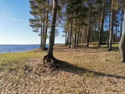 Онежский петроглиф - 19
