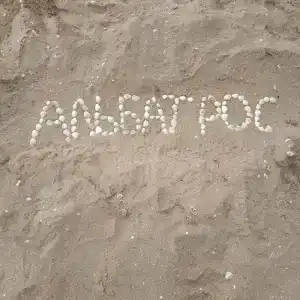 Альбатрос - 26