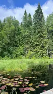 Лесная Поляна - 10