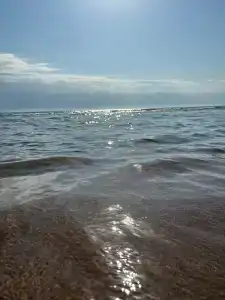 Сафари - 21
