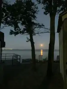 Жемчужный - 54