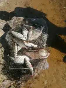 Серебряный Ключ - 17