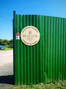 Велесов лес - 24