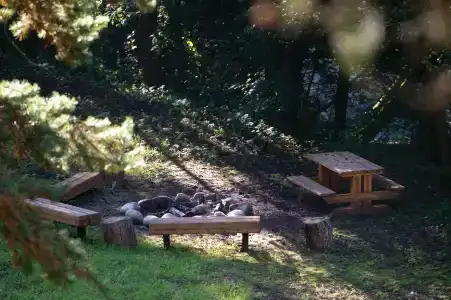 Wish Home Лесной Берег в Мясоедово - 60