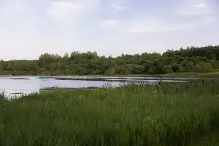 Мятный сад - 38